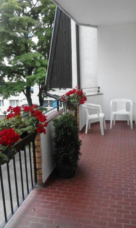 Apartament Centrum 코워브제크 외부 사진